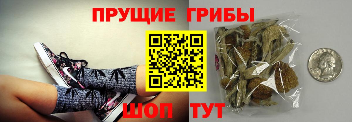 Еманжелинск  Галлюциногенные грибы мухоморы  закладки  Вход с VPN 